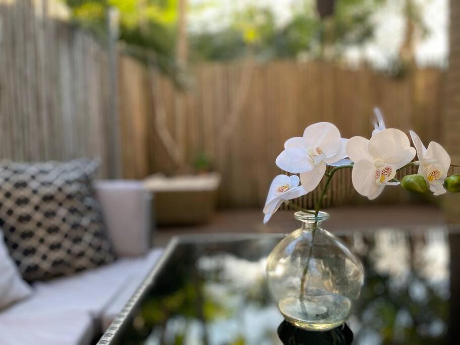 Apartment Beautiful 1 Bedroom Unit 1 Block From Coogee