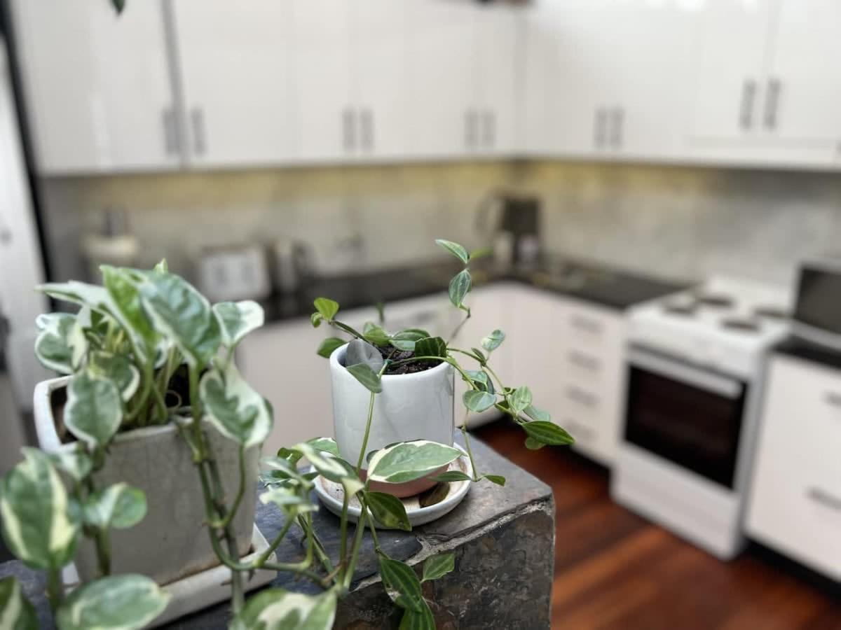 Holiday home Modern Surry Hills Century