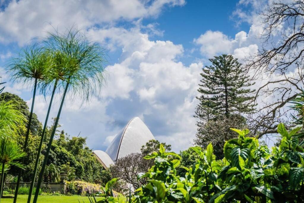 Kozyguru | Cbd | Convenient Sydney