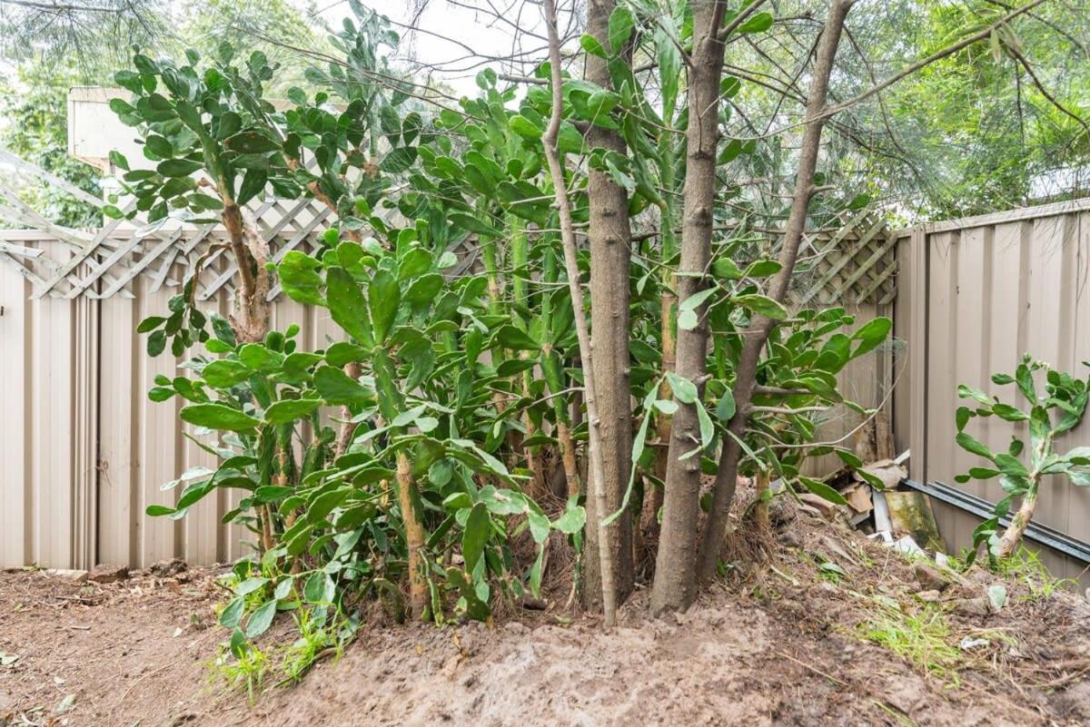 Private Ensuite Queen Near Airport Sidney