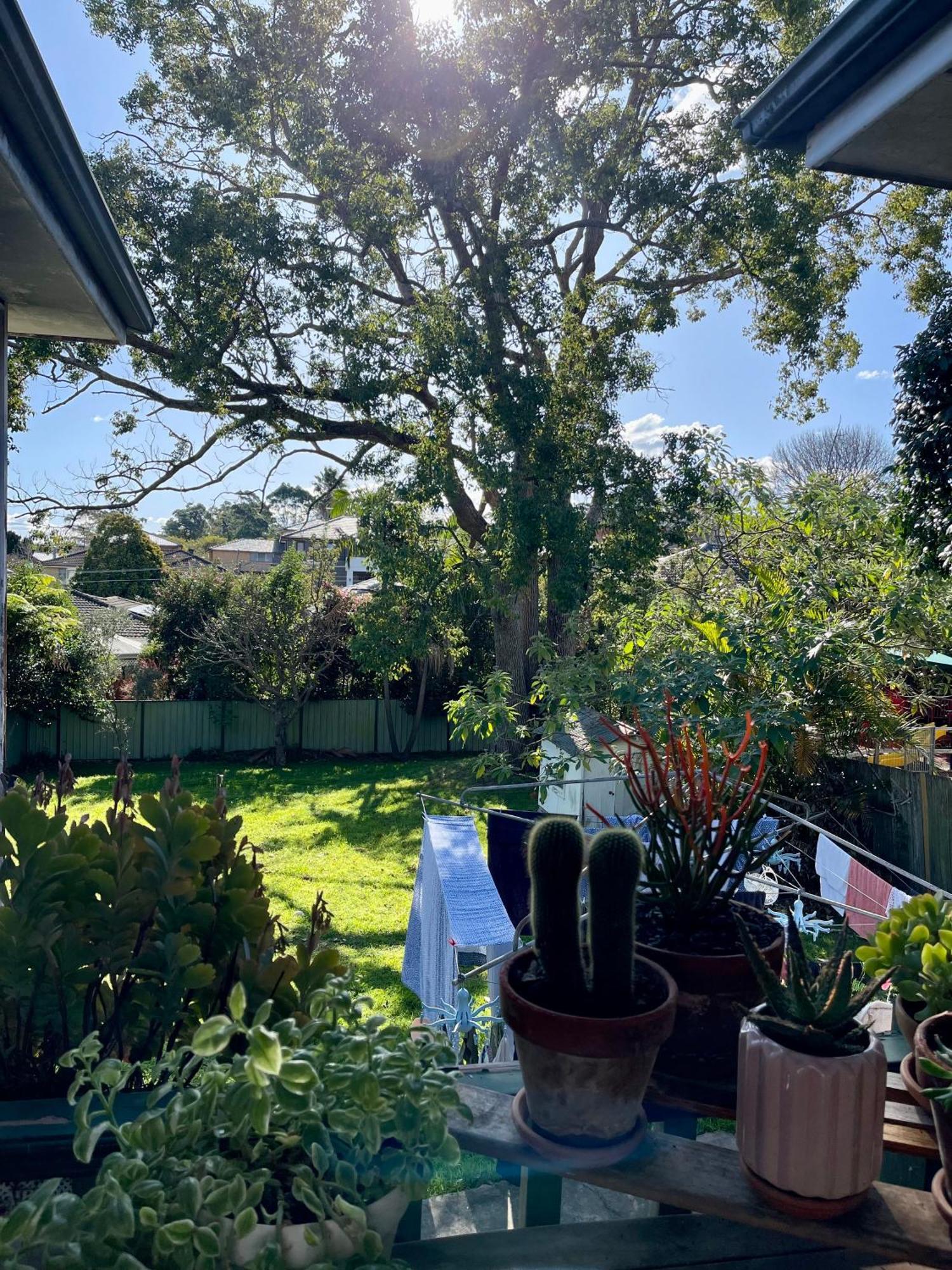 Homestay Comfort Queen Garden View Macquarie Park Ryde *