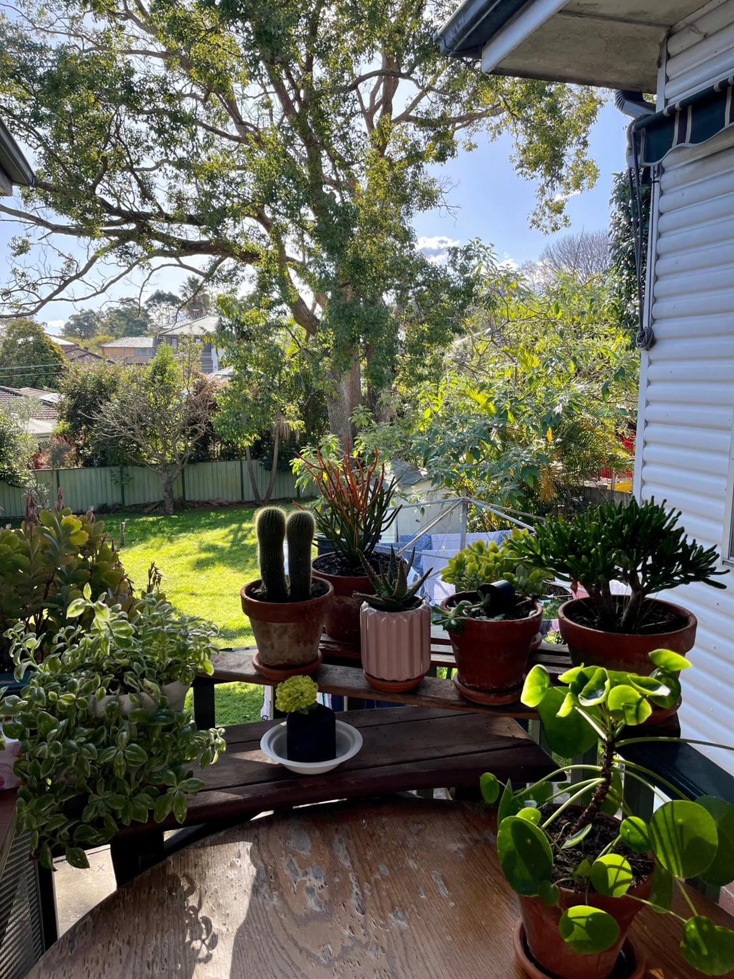 Comfort Queen Garden View Macquarie Park Ryde