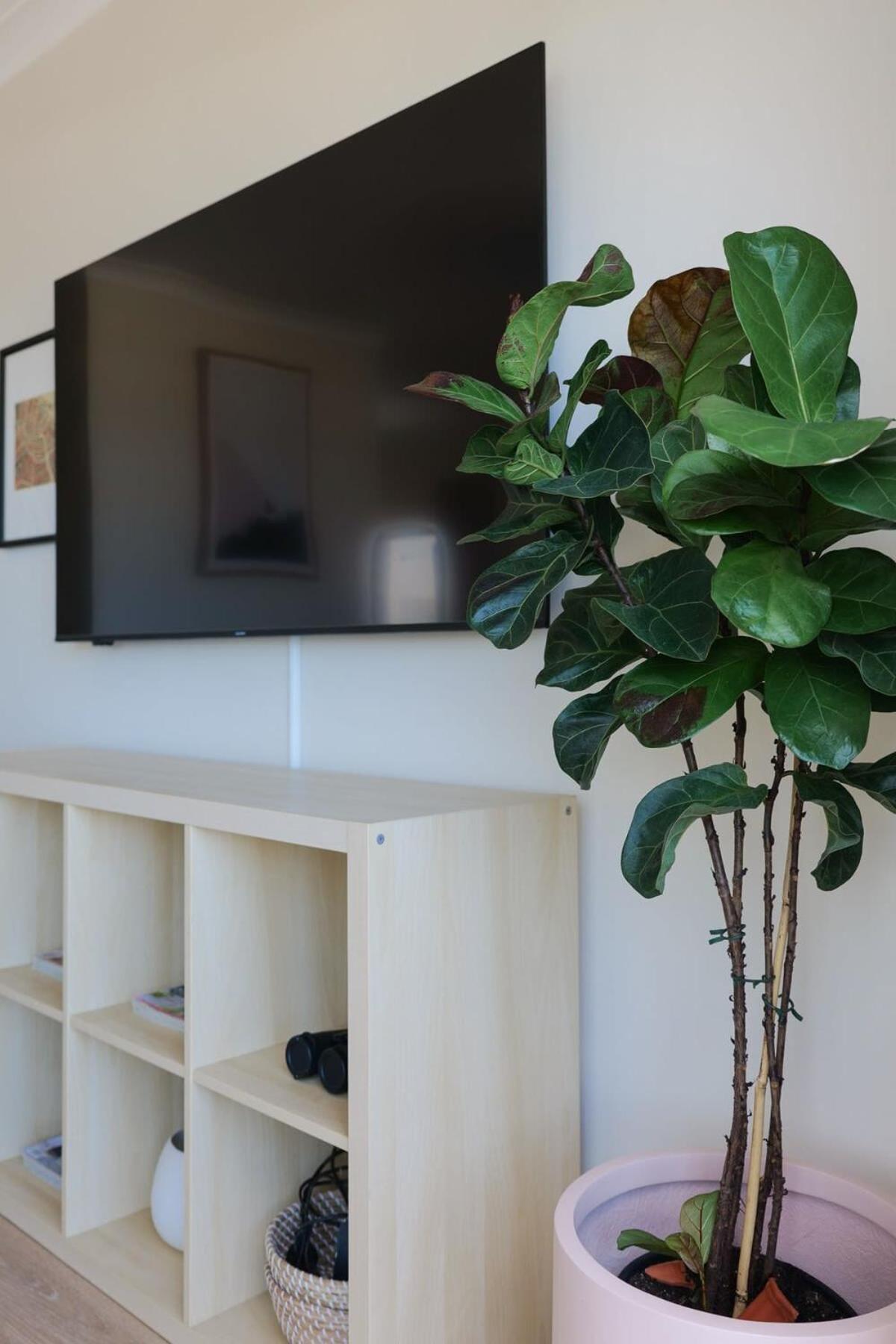 Stunning Maroubra Beachview With Parking * Sydney