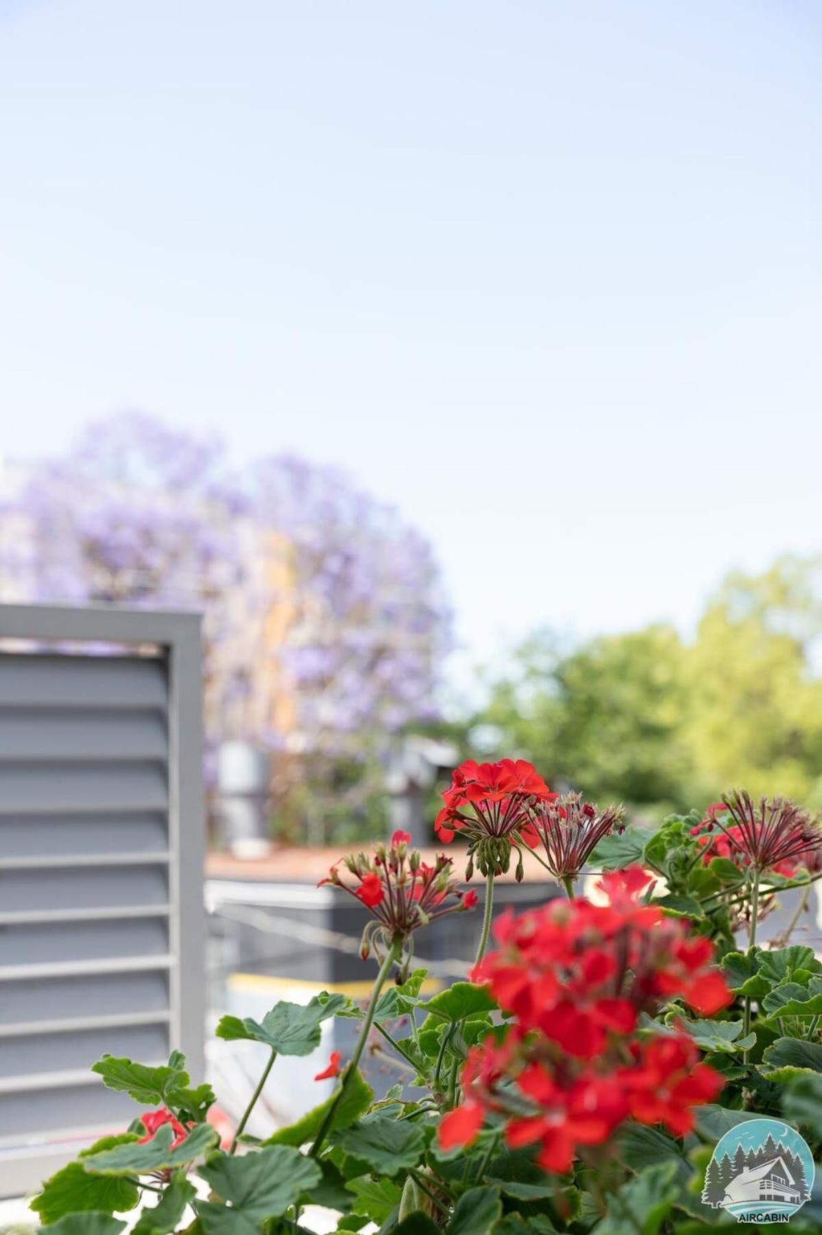 Aircabin - Homebush - - 2 Beds