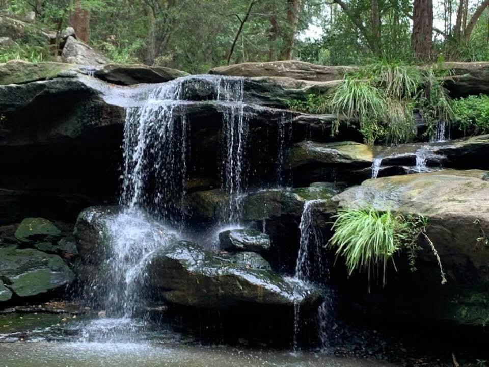 Aircabin - Telopea - - 5 Beds Holiday House Sydney