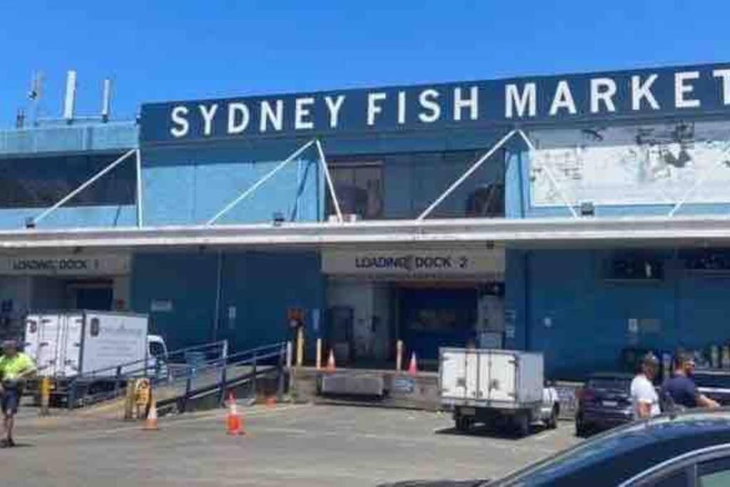 Cozy 2br 1 Loft & Darling Harbour & Fish Market &casino-7 Mins Walk Sydney