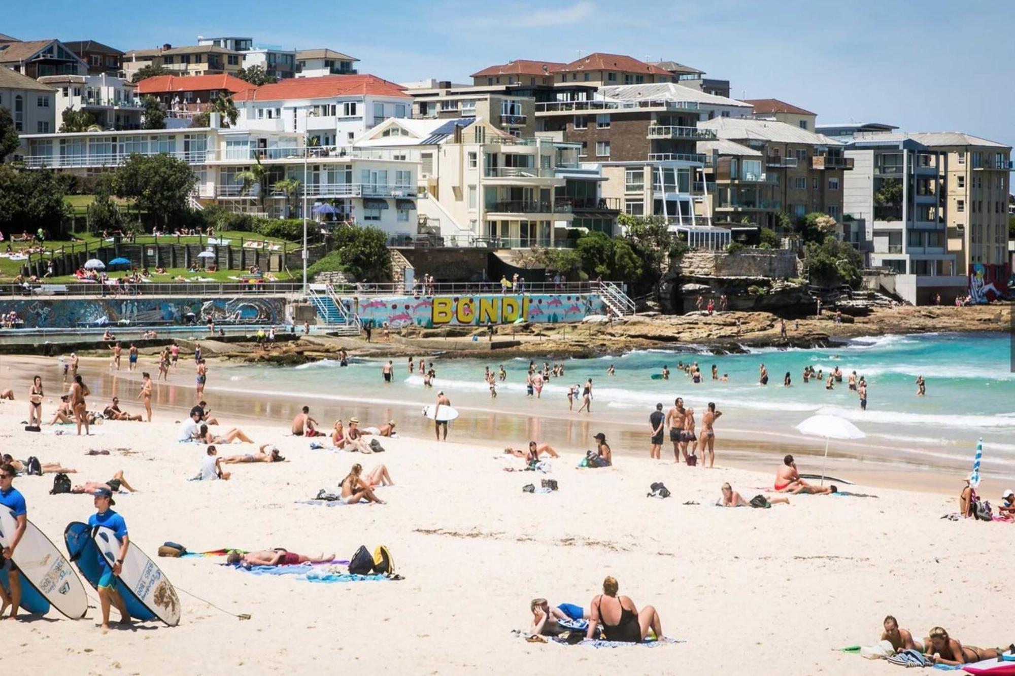 Apartment Stylish Sun Drenched North Bondi Oasis