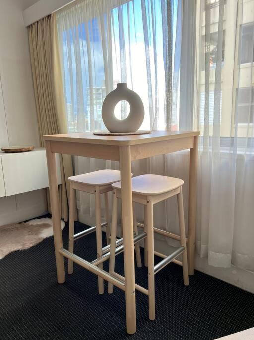 Elizabeth Bay Potts Point Apartment