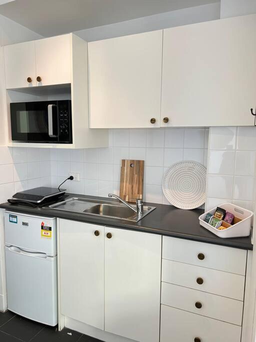 Elizabeth Bay Potts Point Apartment
