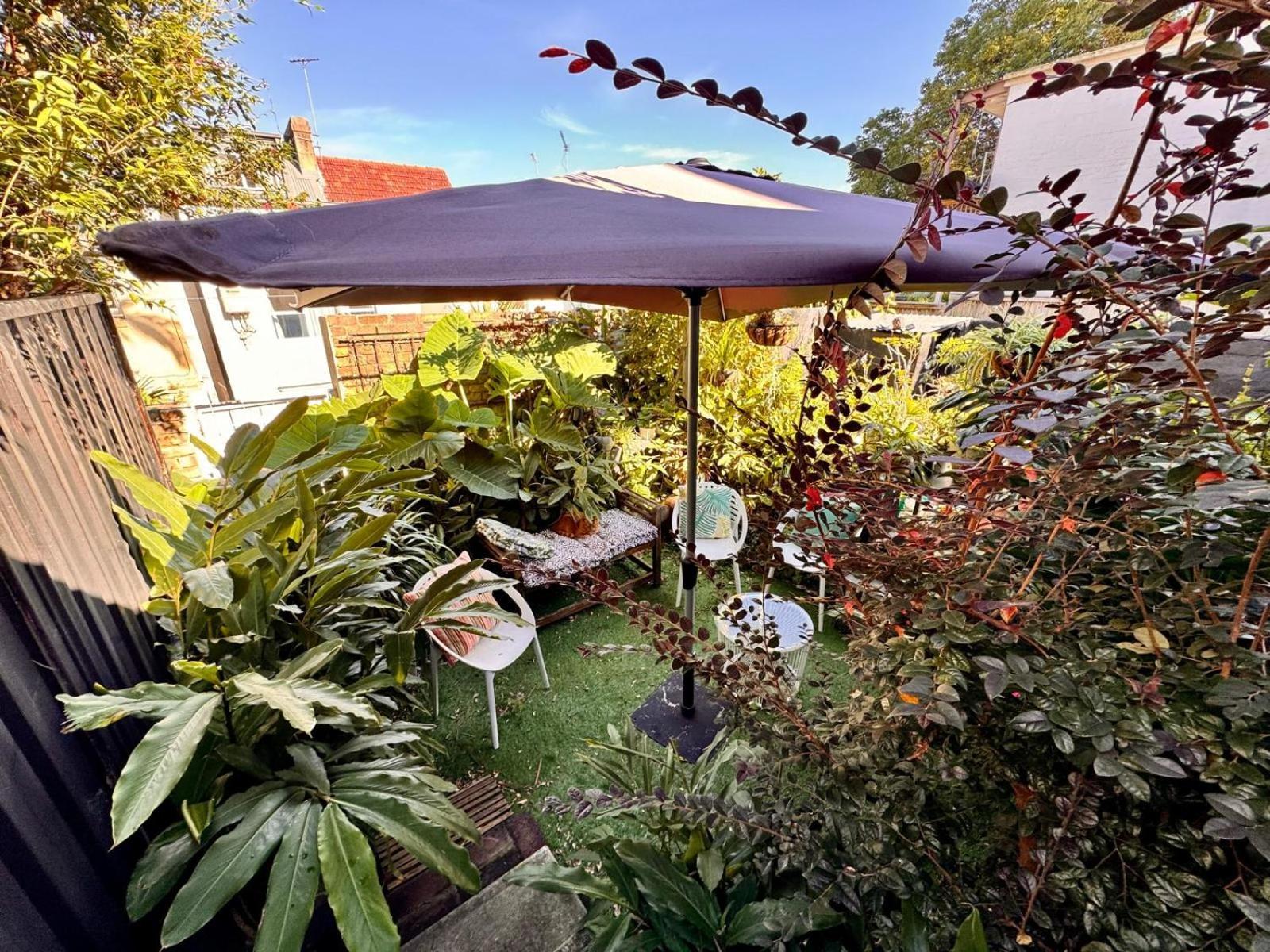 Modern Surry Hills Century