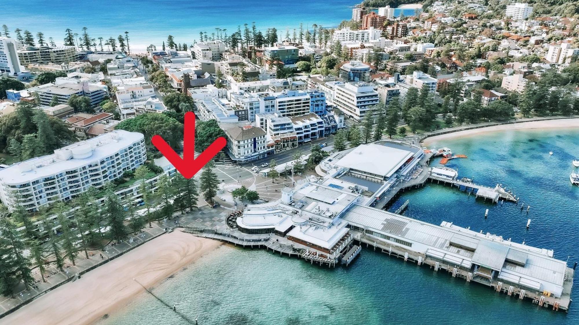Marvelous Manly * Sidney