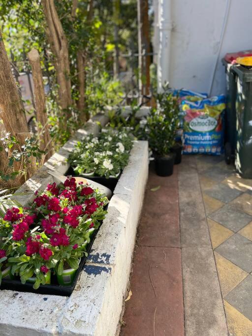 4 Bdrm Terrace With Office * Sydney