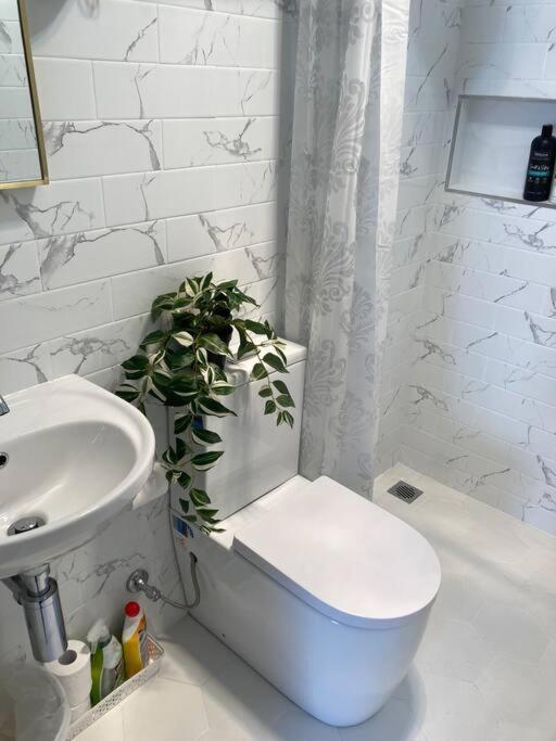 Apartment Brand New In Surry Hills Sydney
