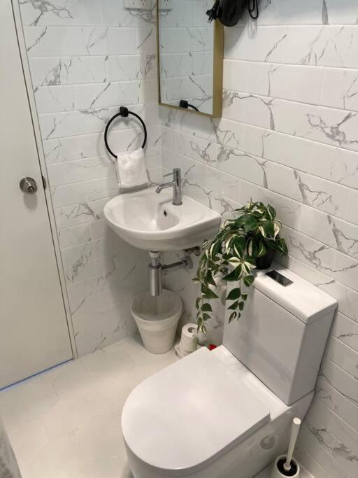 Brand New In Surry Hills