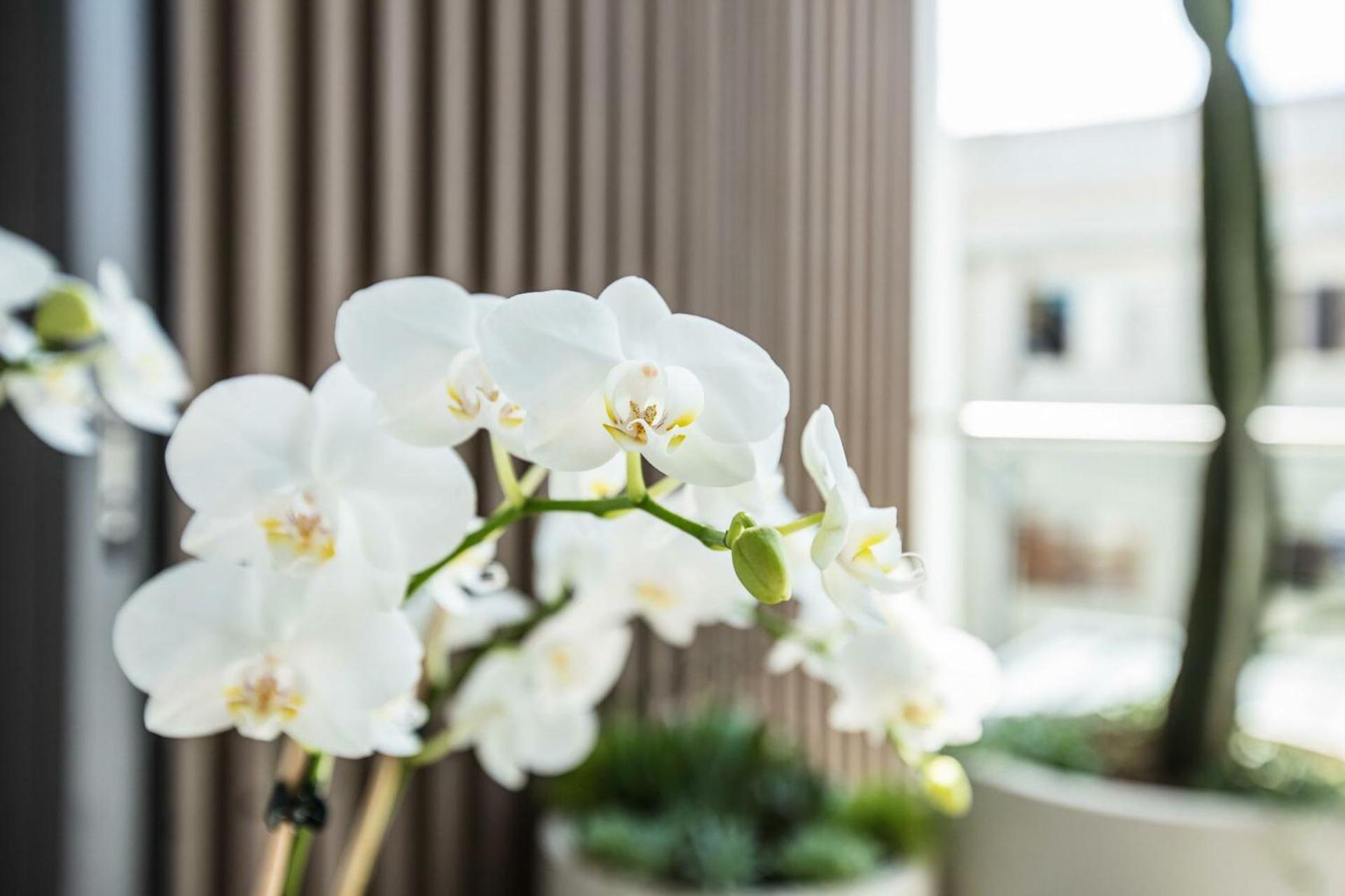 Apartment Surfside Isyd