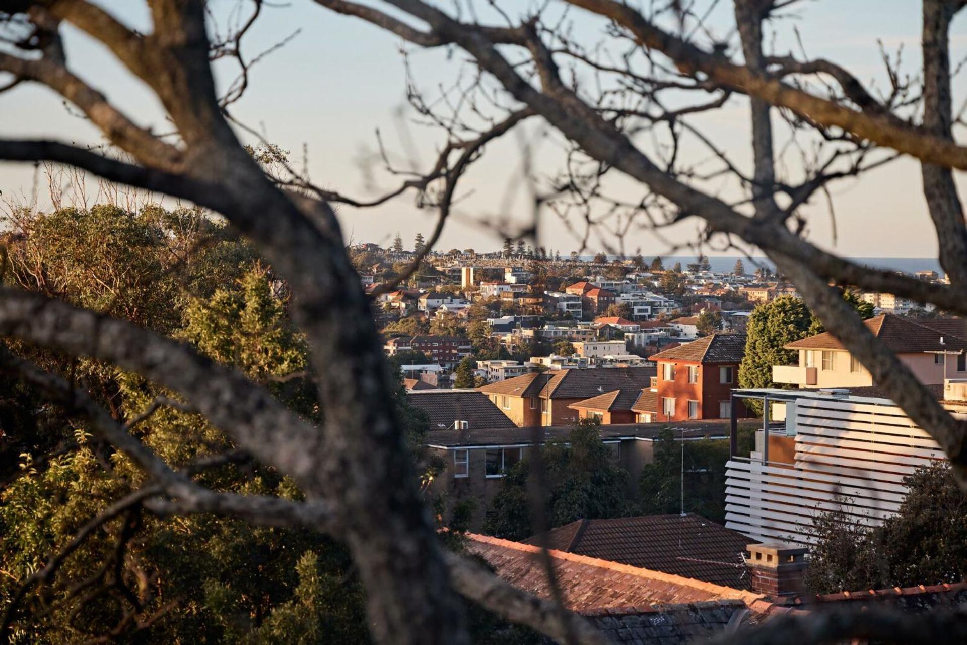 Coogee Treetops * Sidney