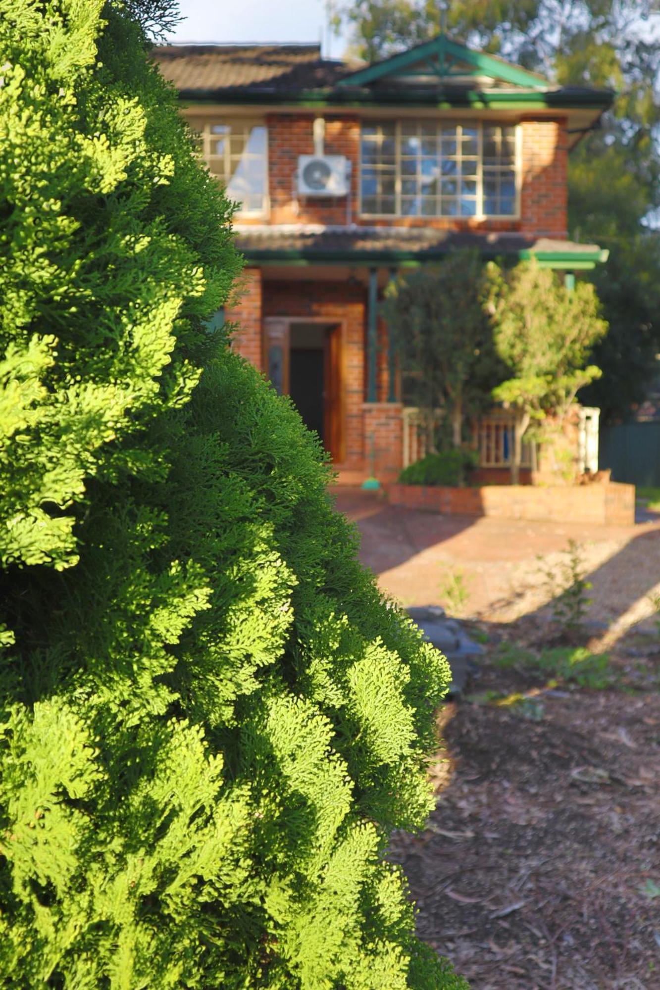 Big Duplex House In West Ryde * Sydney