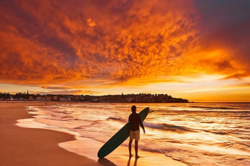 In The Heart Of Bondi, Stroll To The Sydney