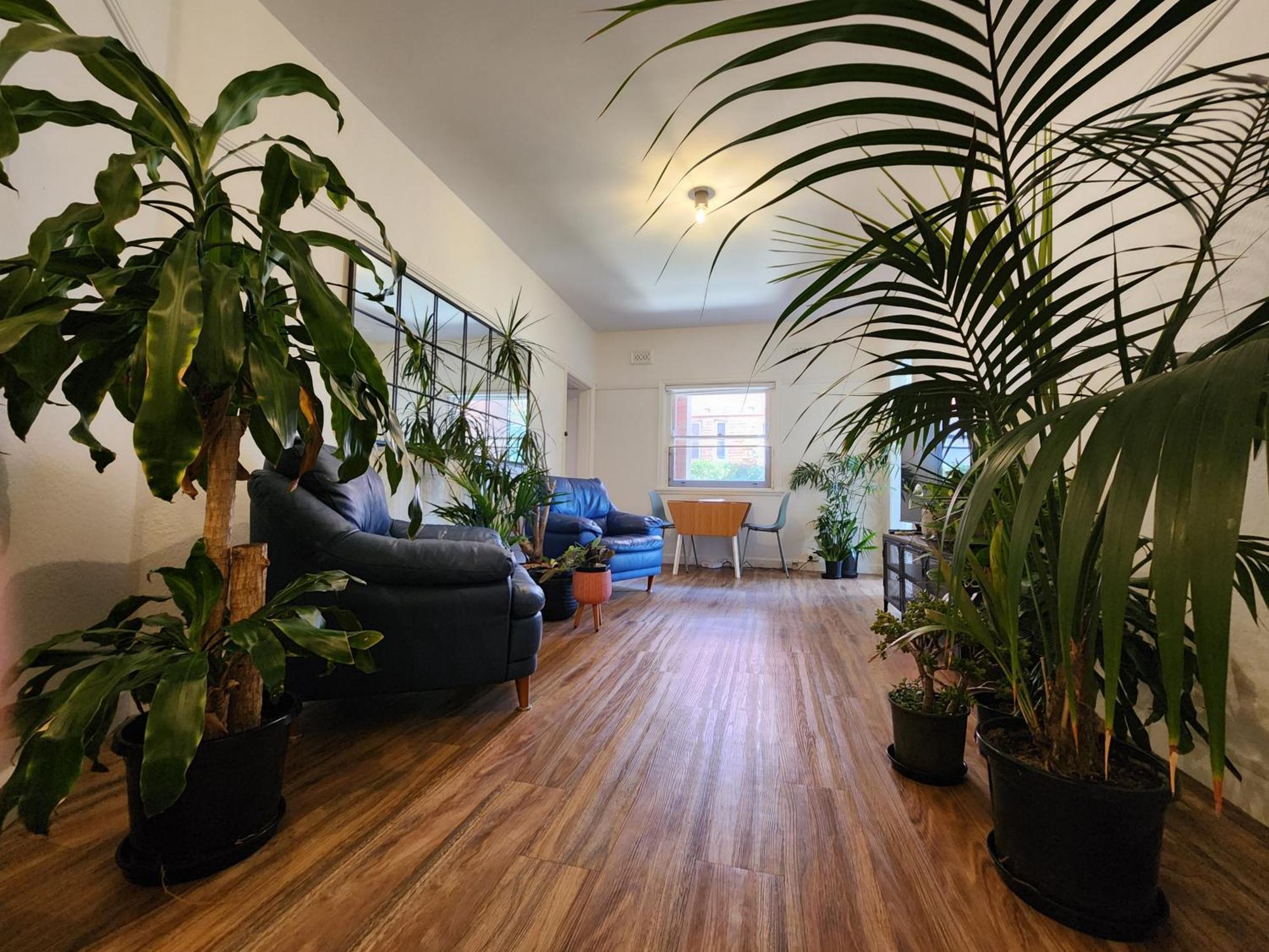 Manly Jungle Oasis Sidney