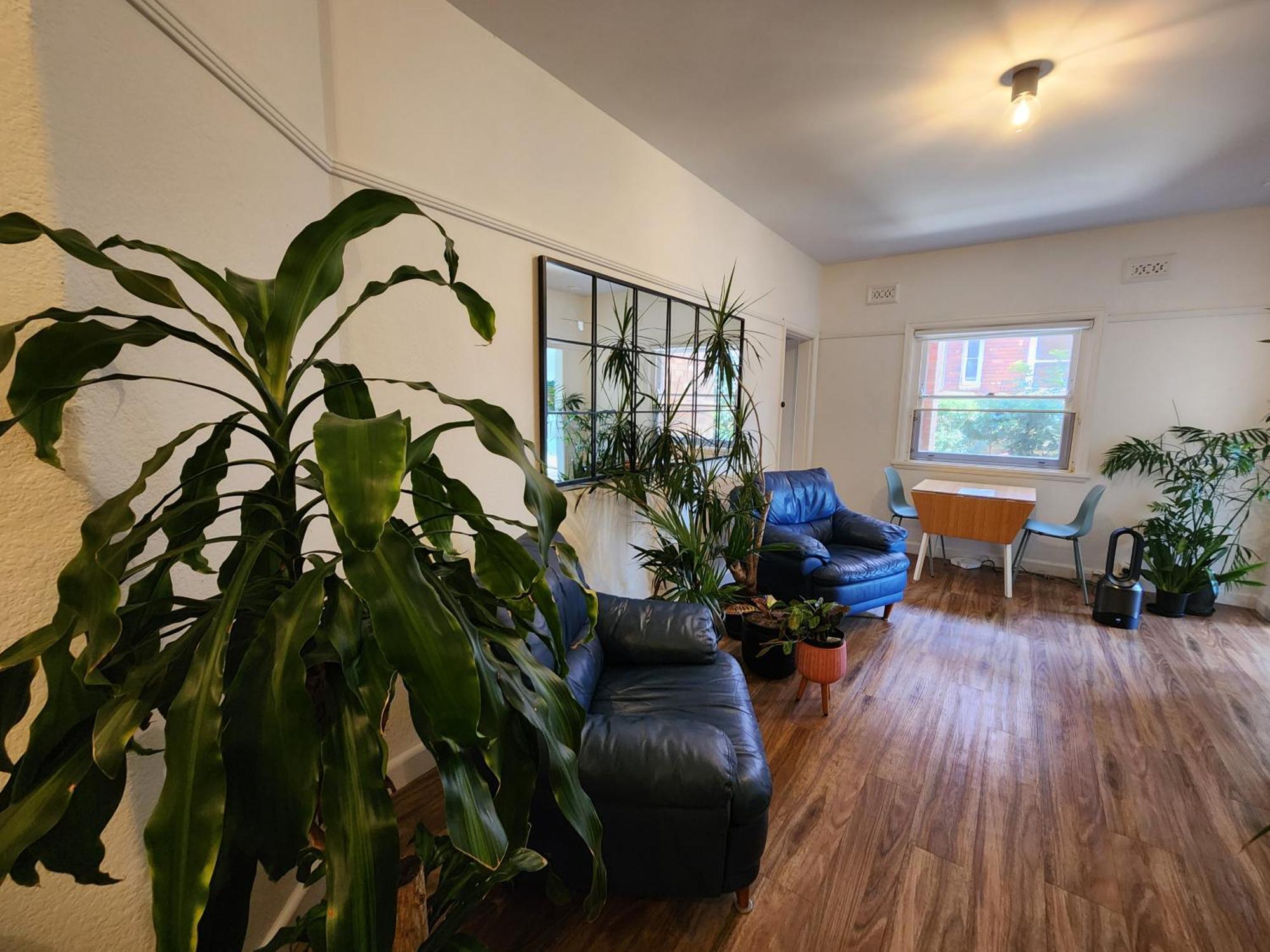 Manly Jungle Oasis Apartamento *