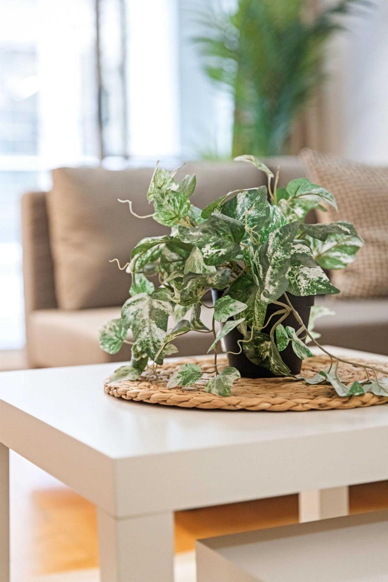 A Stylish Studio For 6 Next To Darling Harbour * Sydney