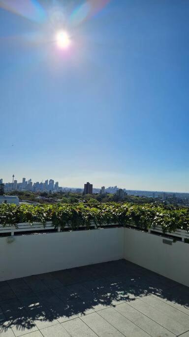 Bondi Junction Bellissima *