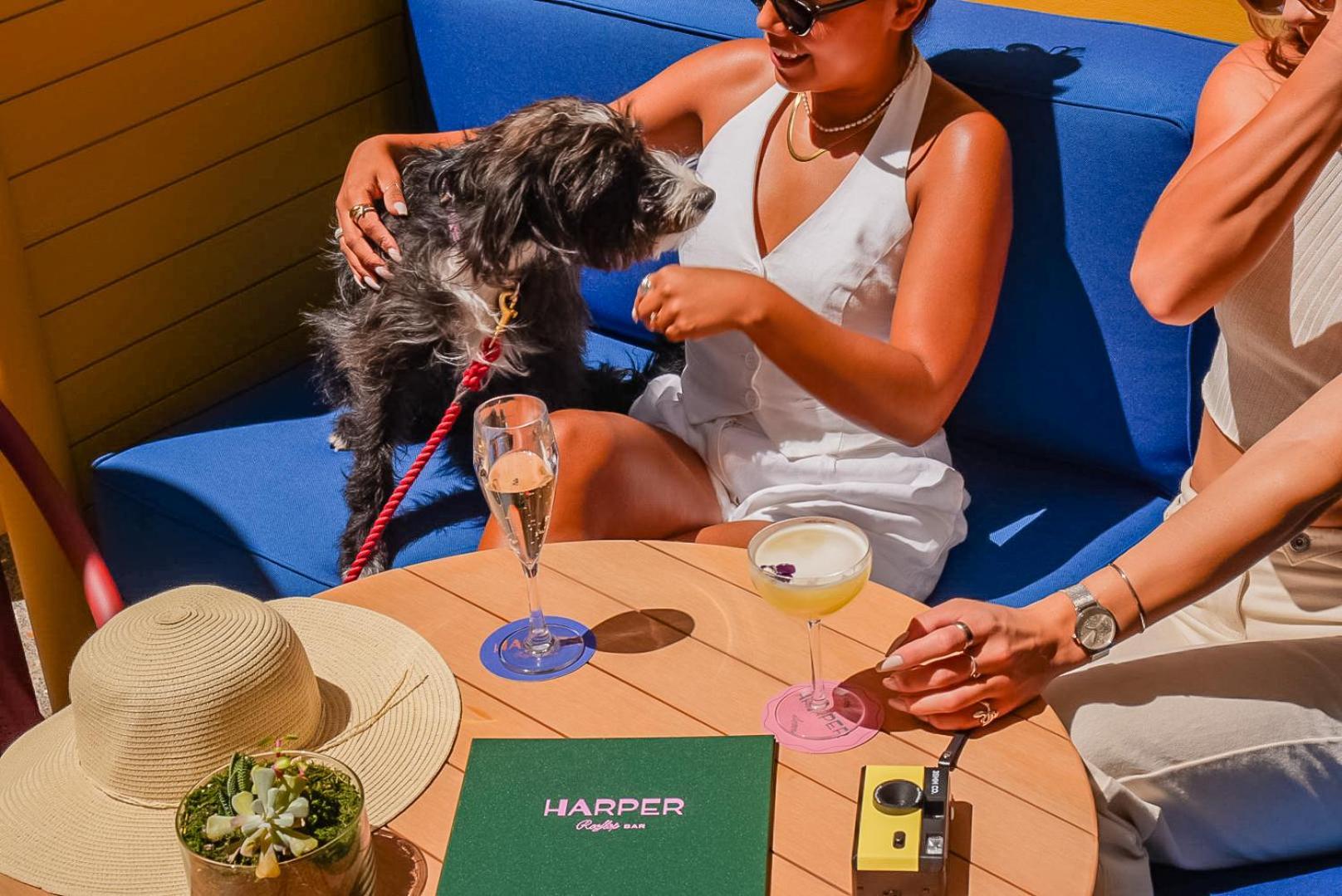 Kimpton Margot By Ihg 5* Sydney