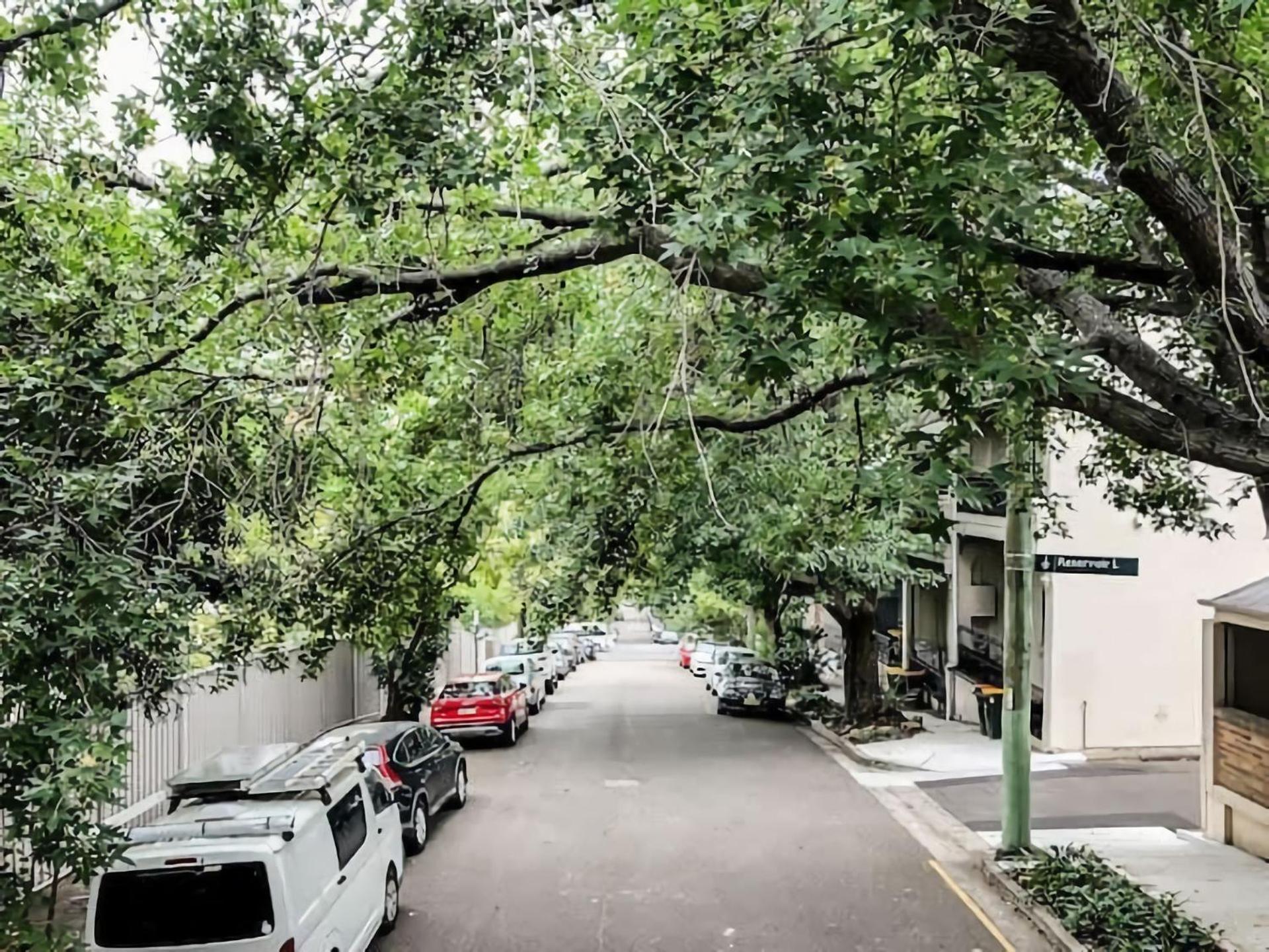 Multi Level Surry Hills With Terrace Sidney