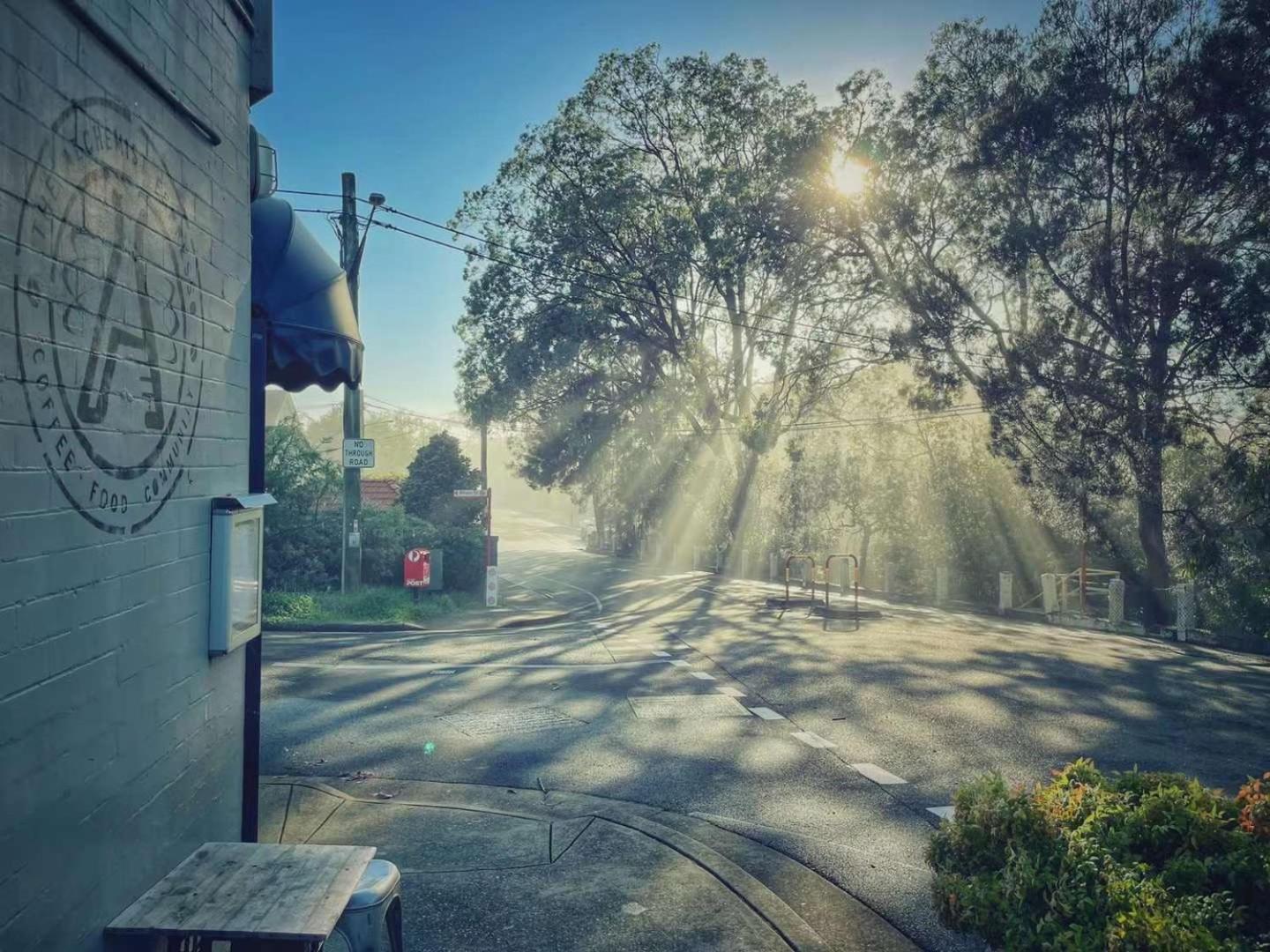 Cammeray Above A Trendy Cafe, 2 Free Cupsday Apartment Sydney