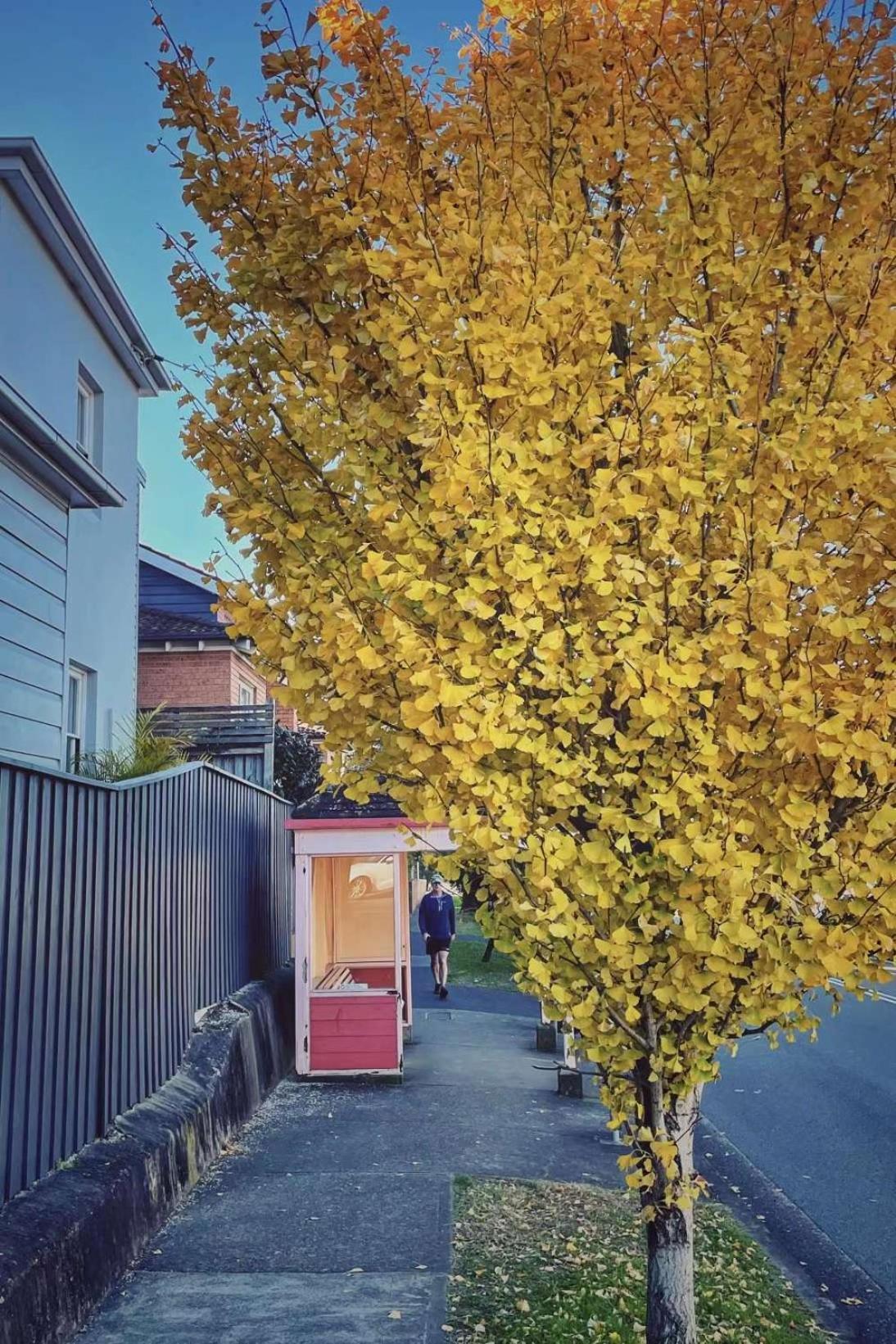 Cammeray Above A Trendy Cafe, 2 Free Cupsday Apartment *