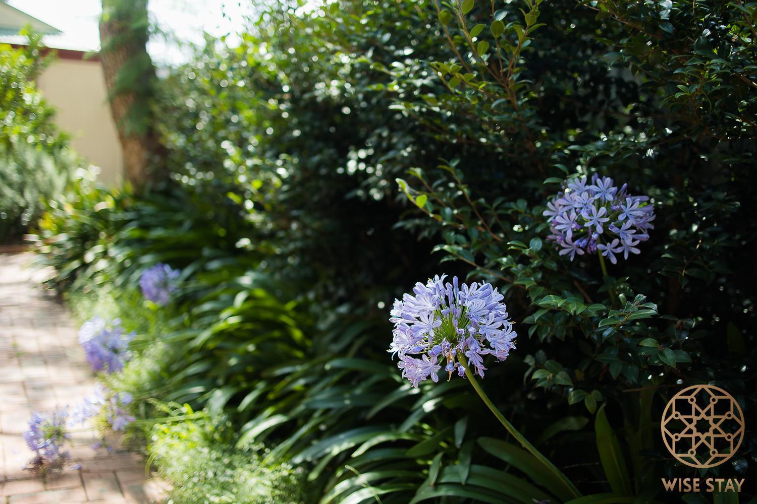 Greenwich Luxury Near Wharftraincbd Steps To Sea Sydney