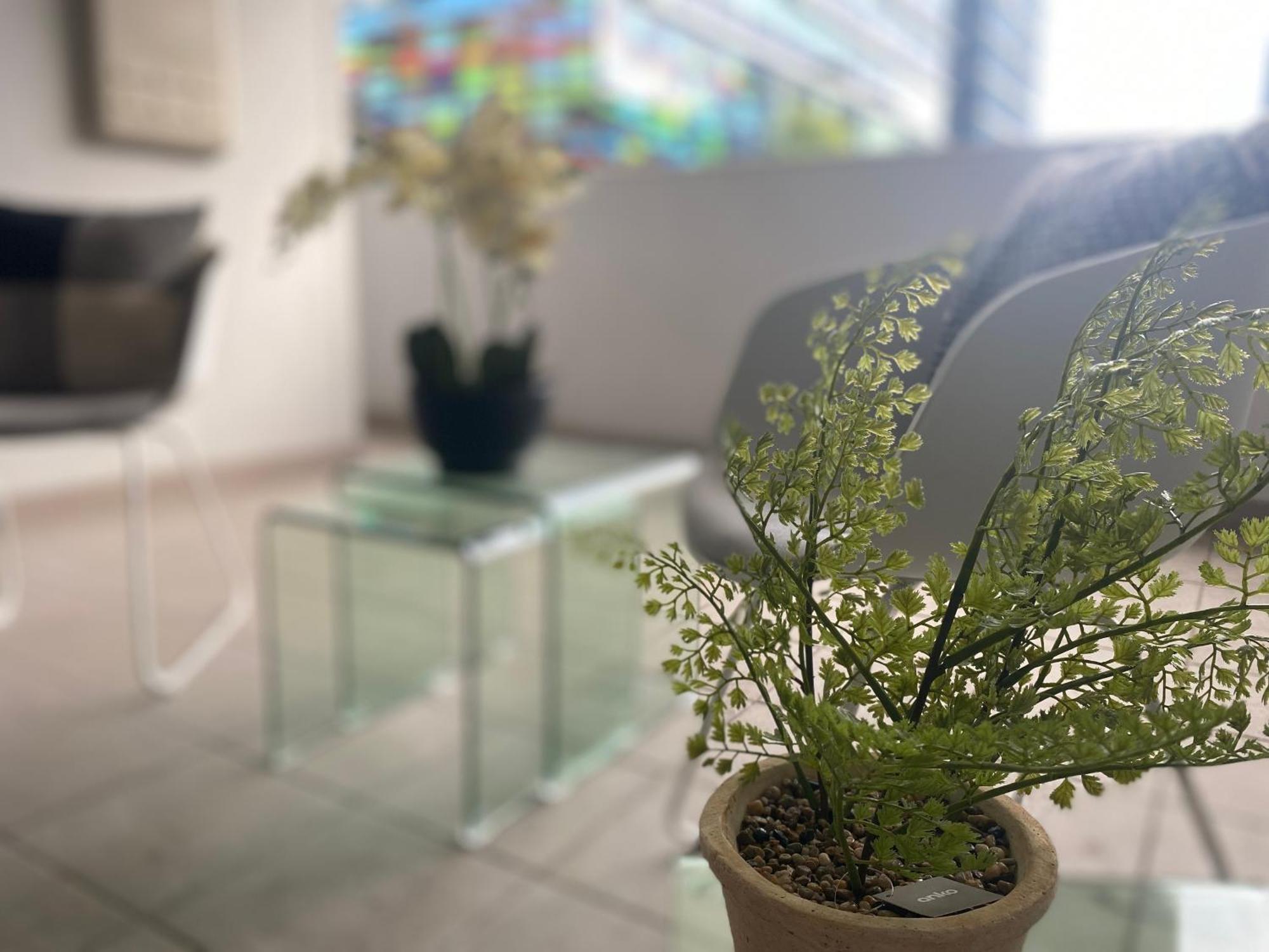 Parramatta Adorable 3br Parkingbusshopping Apartamento