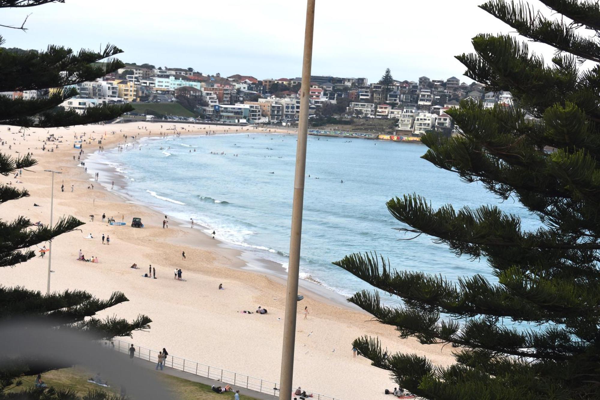 Bondi 38 Serviced Sydney