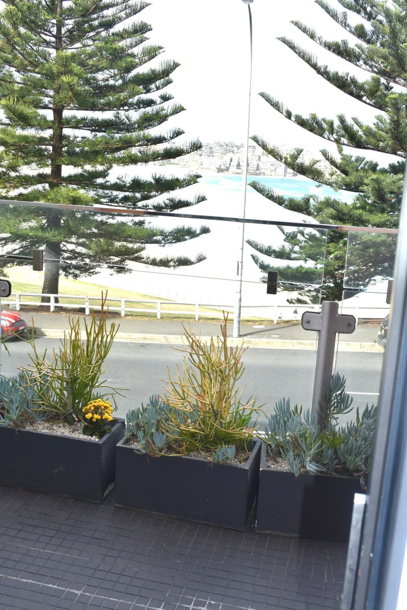 Bondi 38 Serviced Sydney