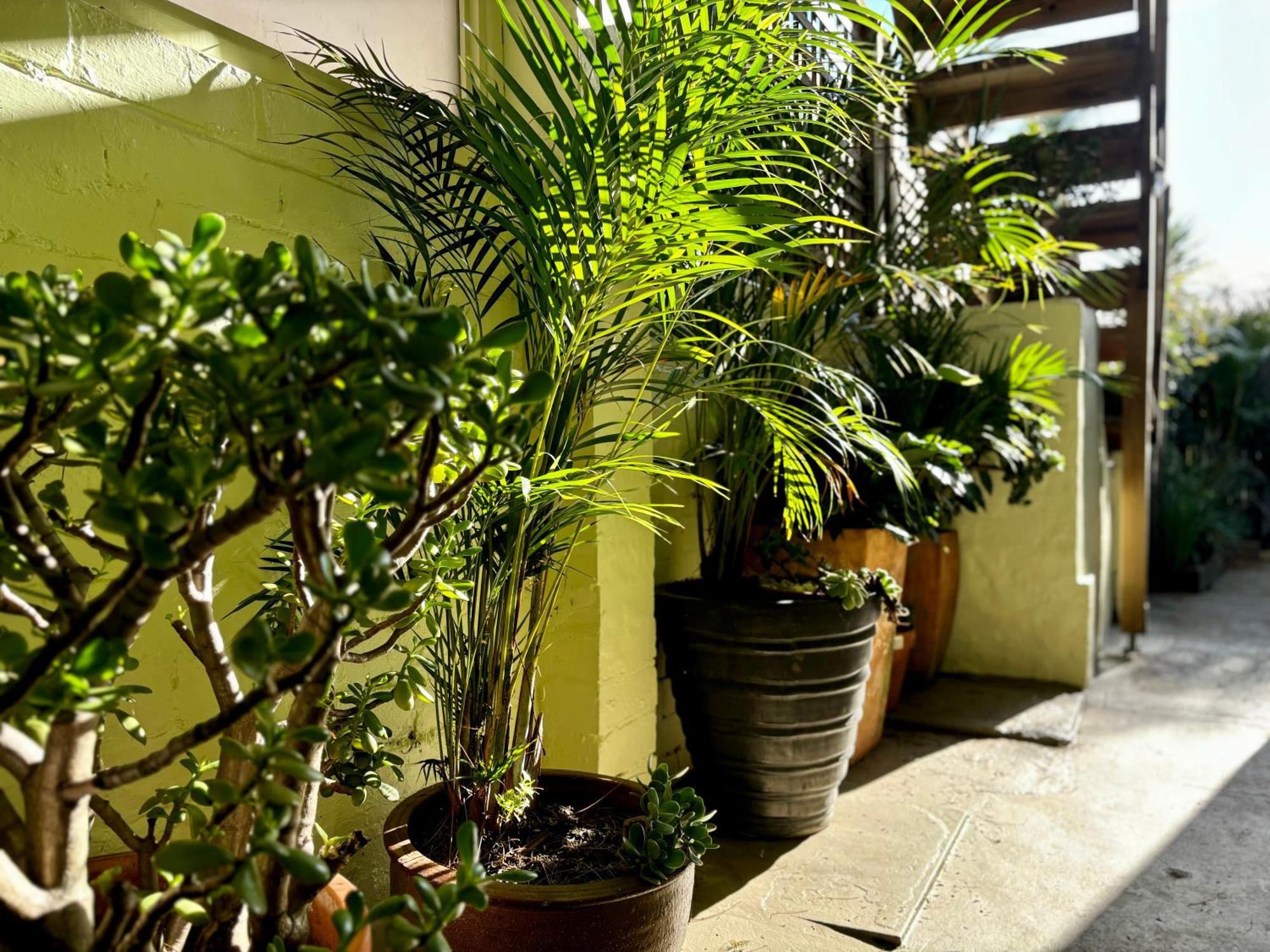 Kookaburra Gardens - 4 Stops From The City, Icc And Harbour Bahay bakasyunan *
