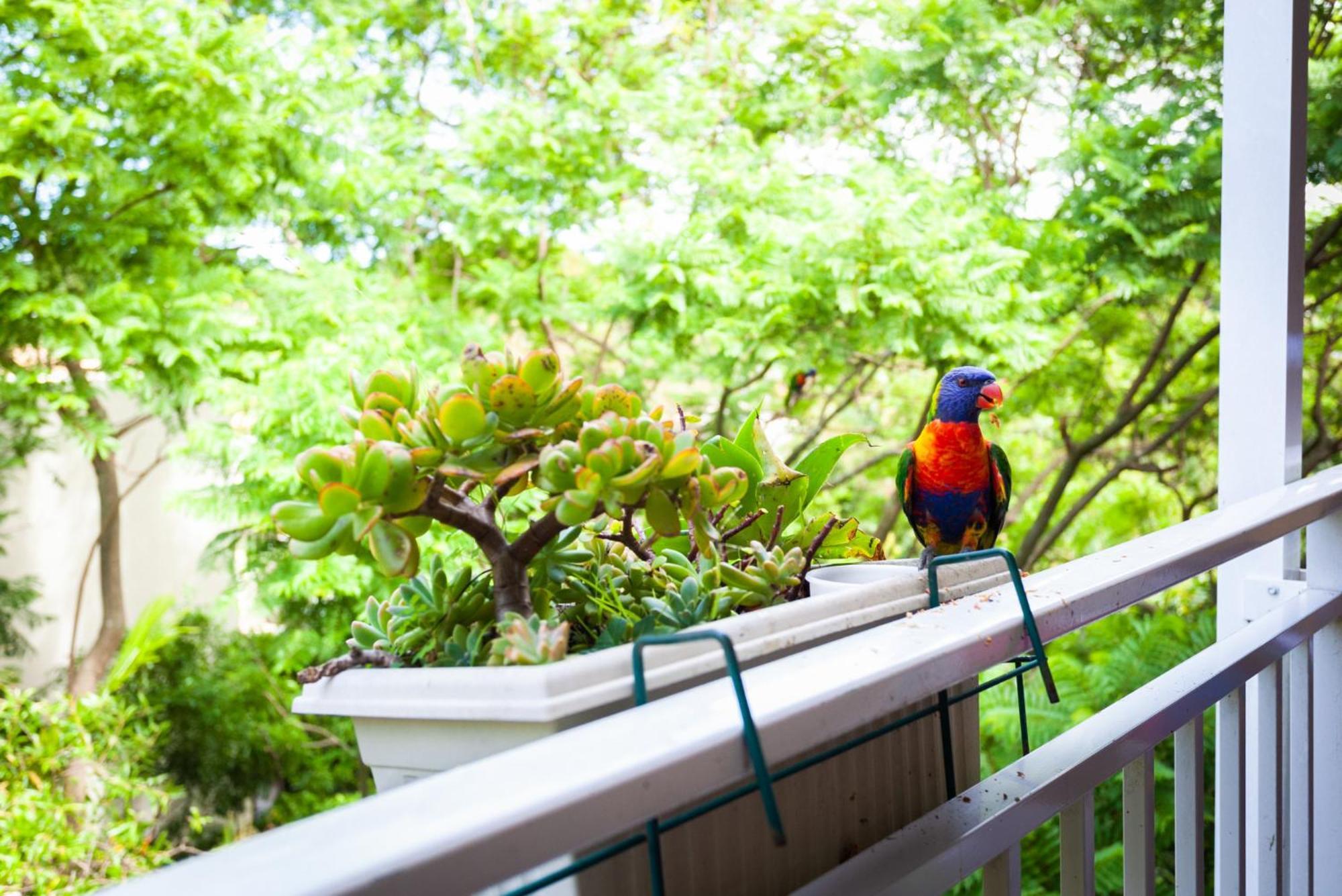 Apartamento Treetop Retreat Five Minute Stroll To The