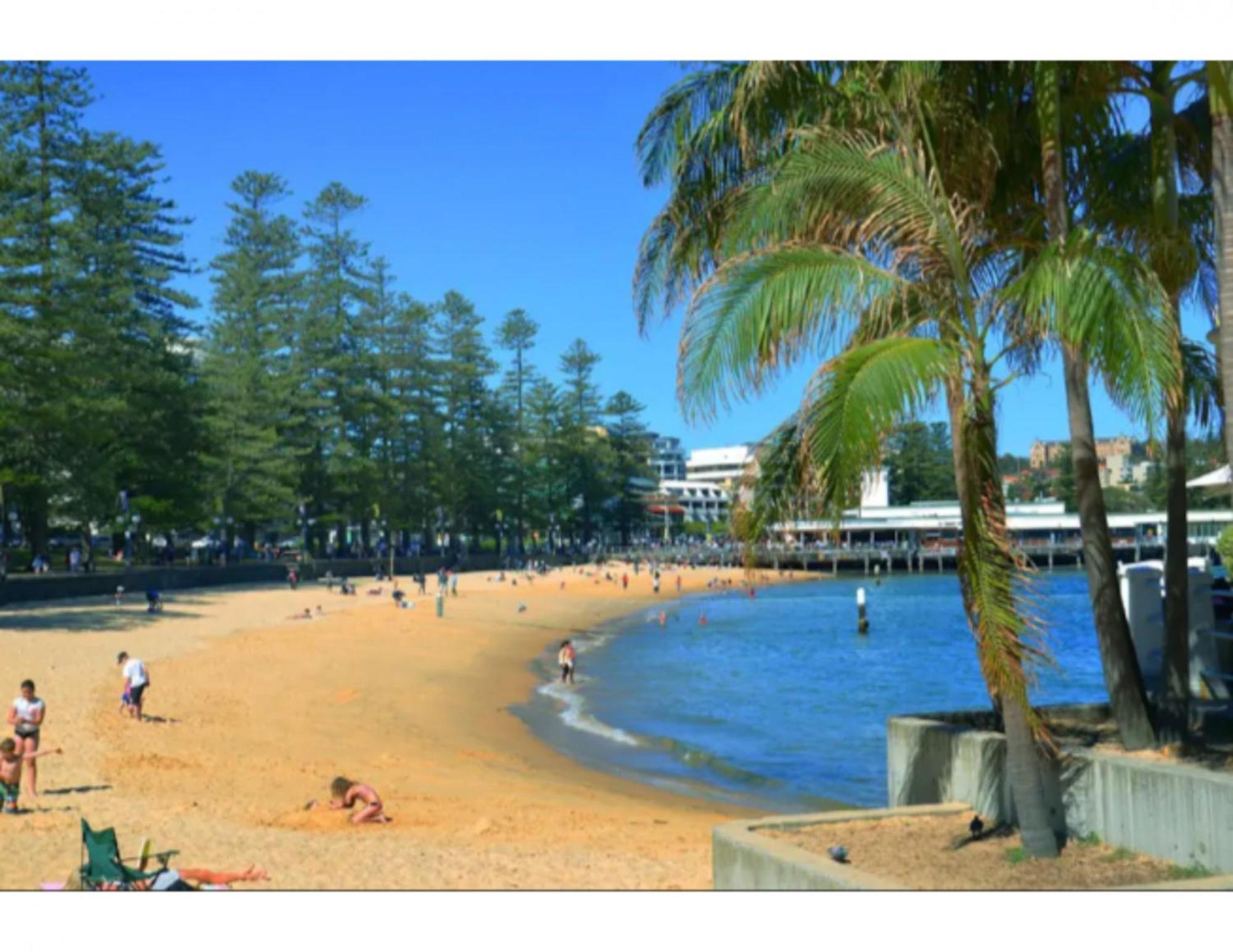Beachside Paradise - Ocean Views, Position Apartment Sydney