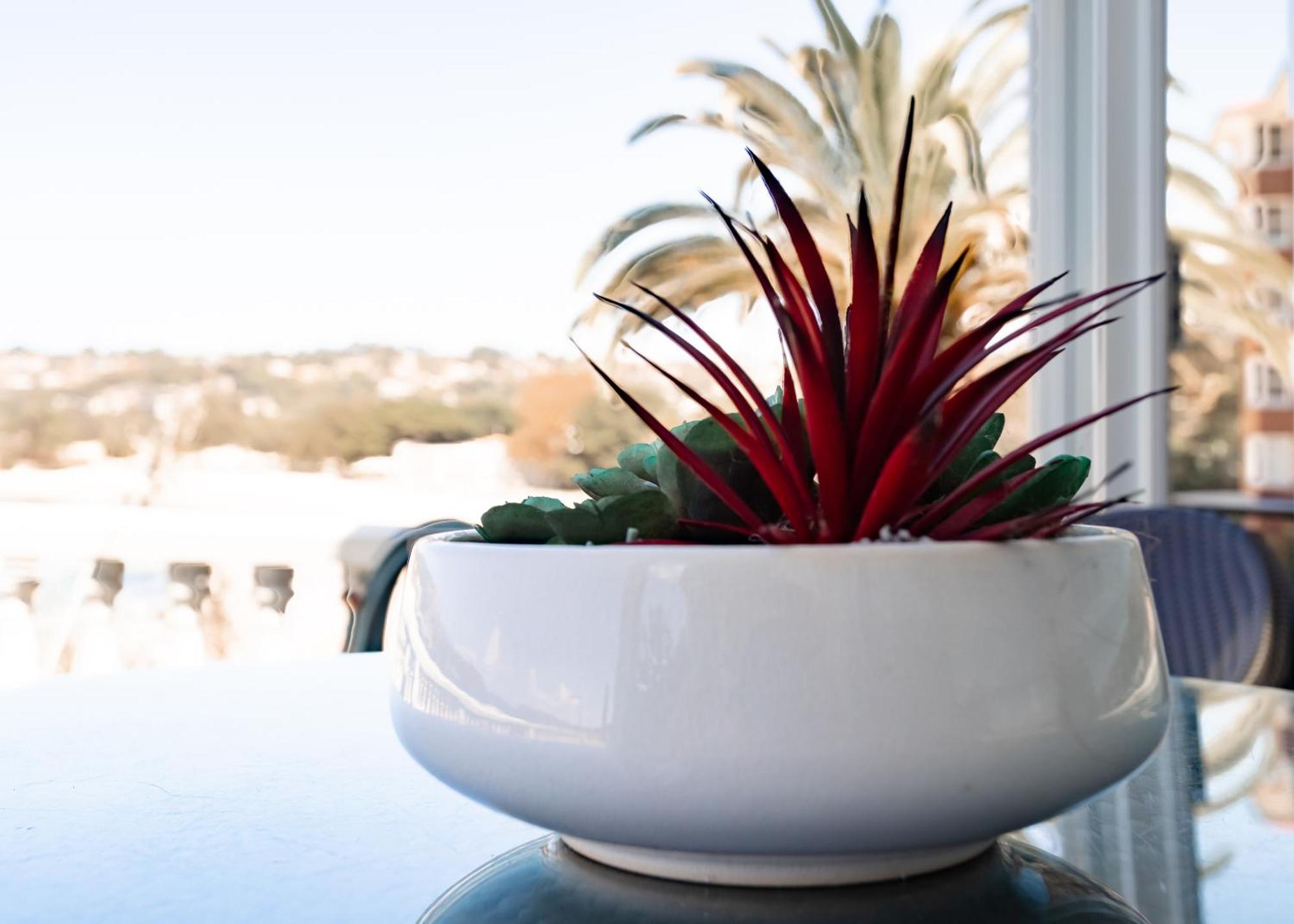Balmoral Beauty Apartment *