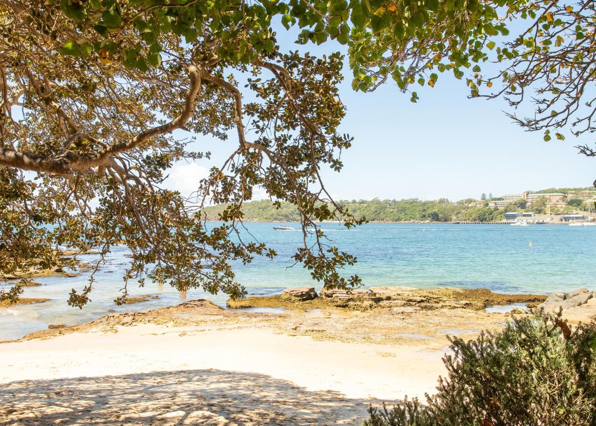Balmoral Beauty * Sydney
