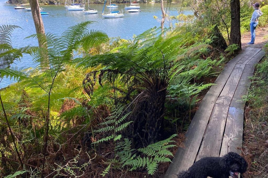 Spacious 4-bed Water Views In Castle Cove * Sydney