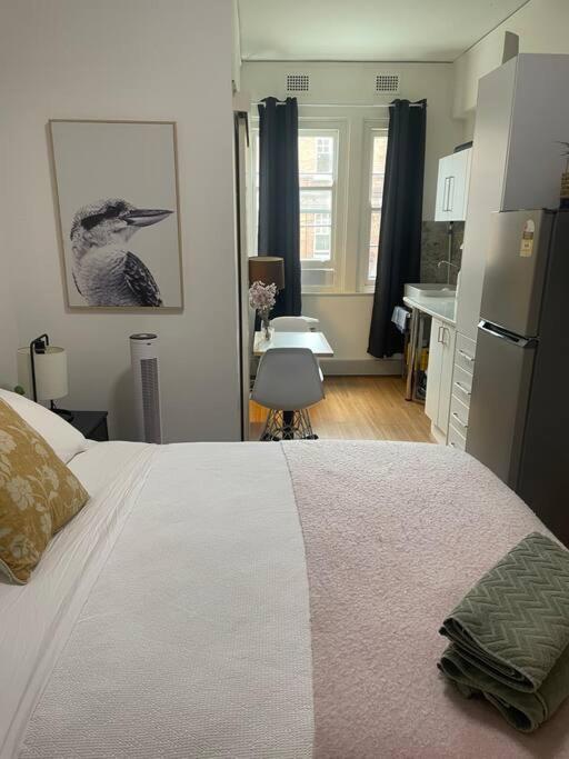 Apartment Cozy Quiet Just Off Taylors Square Sydney