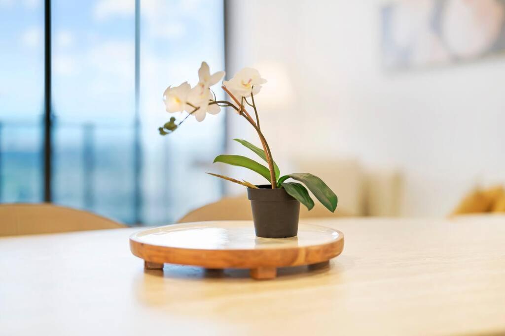 Modern 2br With Views & Pool Near Parramatta Apartment