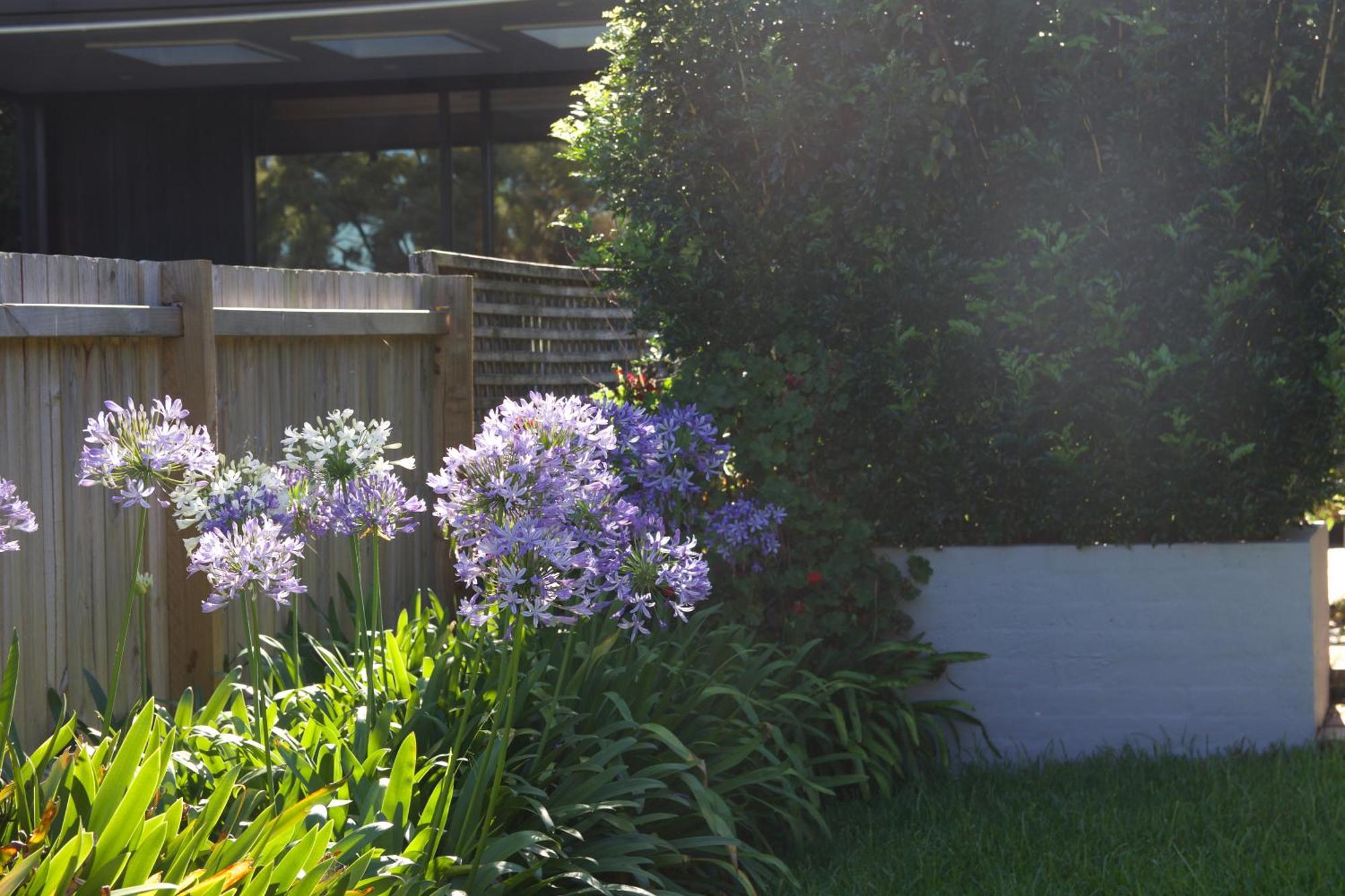 The Sanct North - Cozy Retreat Near Attractions *