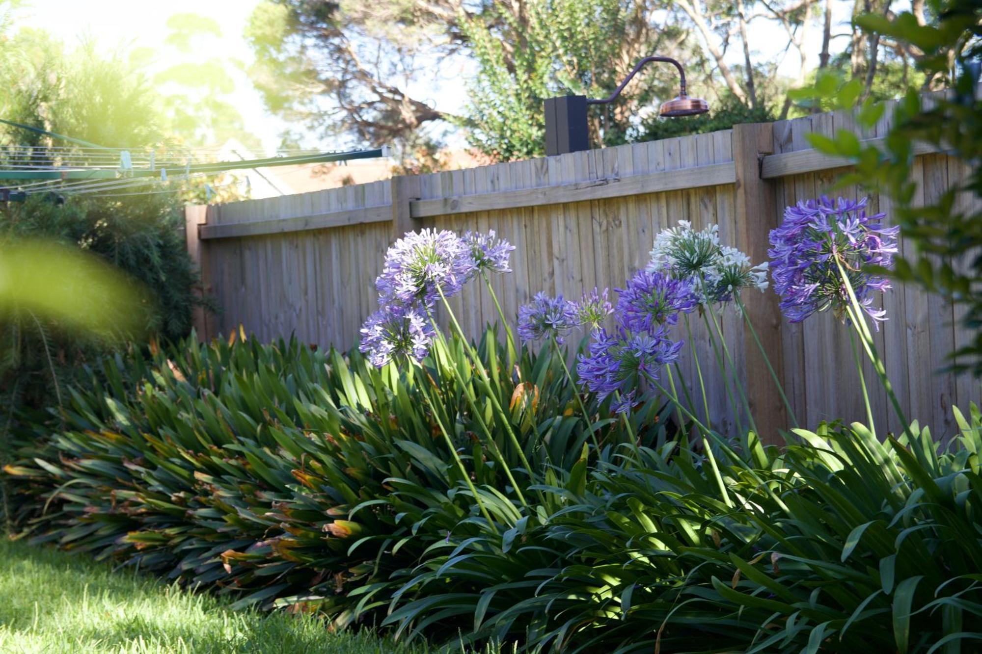 The Sanct North - Cozy Retreat Near Attractions Sydney
