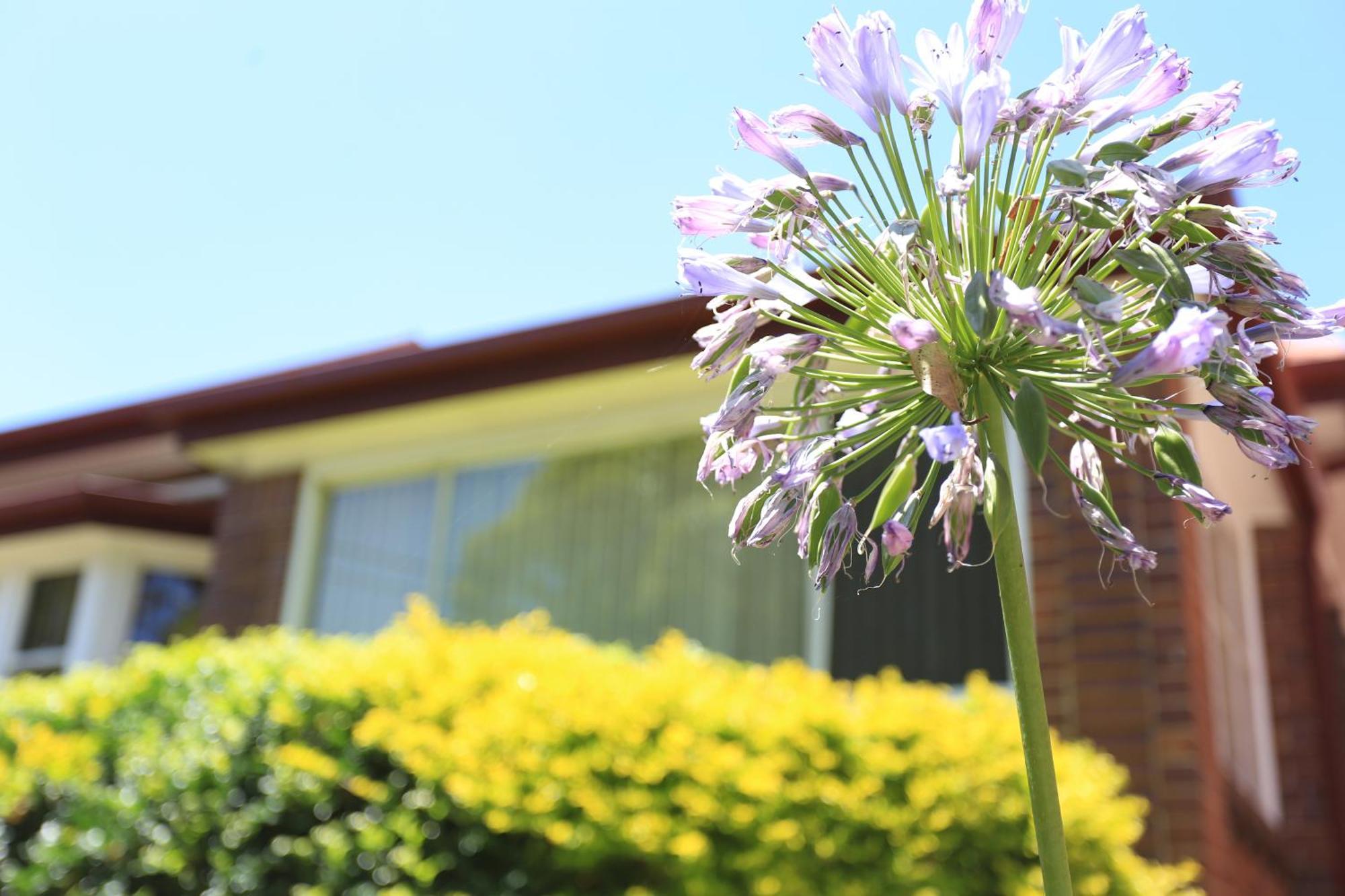 Holiday home Sydney, Bexley North 3bedrooms, Free Parking, Close To Train Station And Cbd