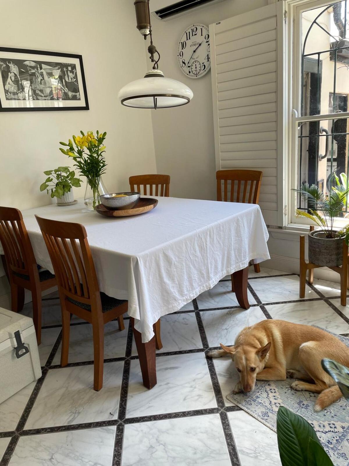 Casa de férias Updated Newtown Terrace Sidney