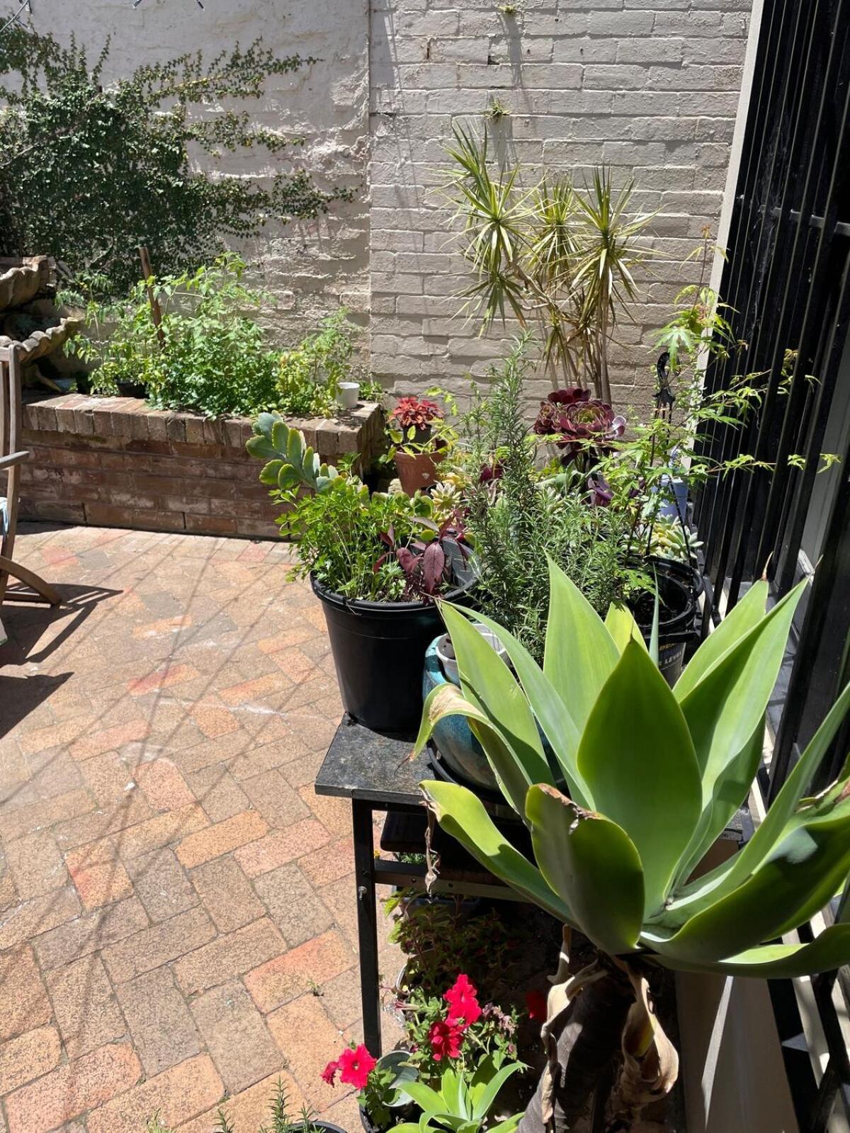 Updated Newtown Terrace Casa de férias