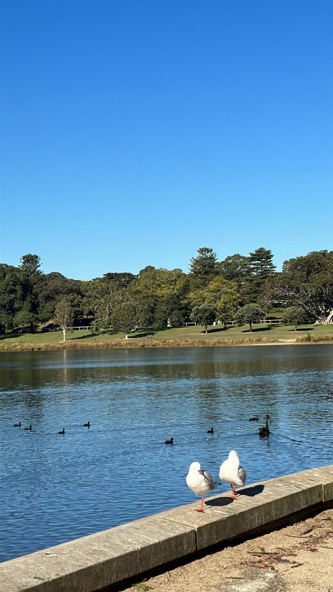 Randwick Shared With Parking, Study Desk & Complimentary Wine Sidney