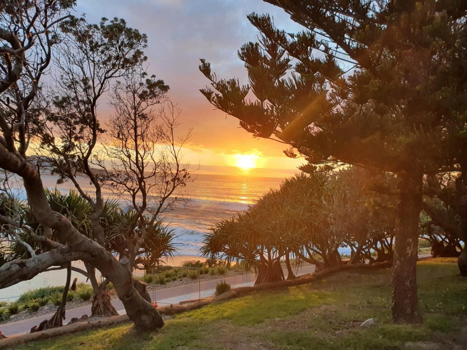 Simply Bondi 2 Bedrooms Apartment