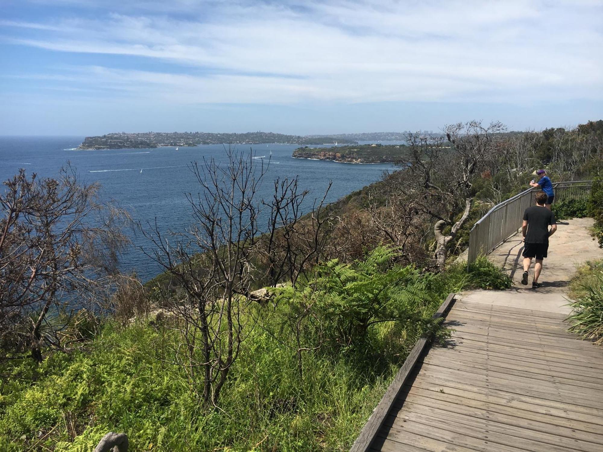 Spacious Penthouse Fabulous Harbour & Ocean Views Sydney